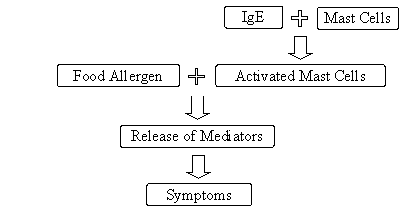 Allergic Reaction